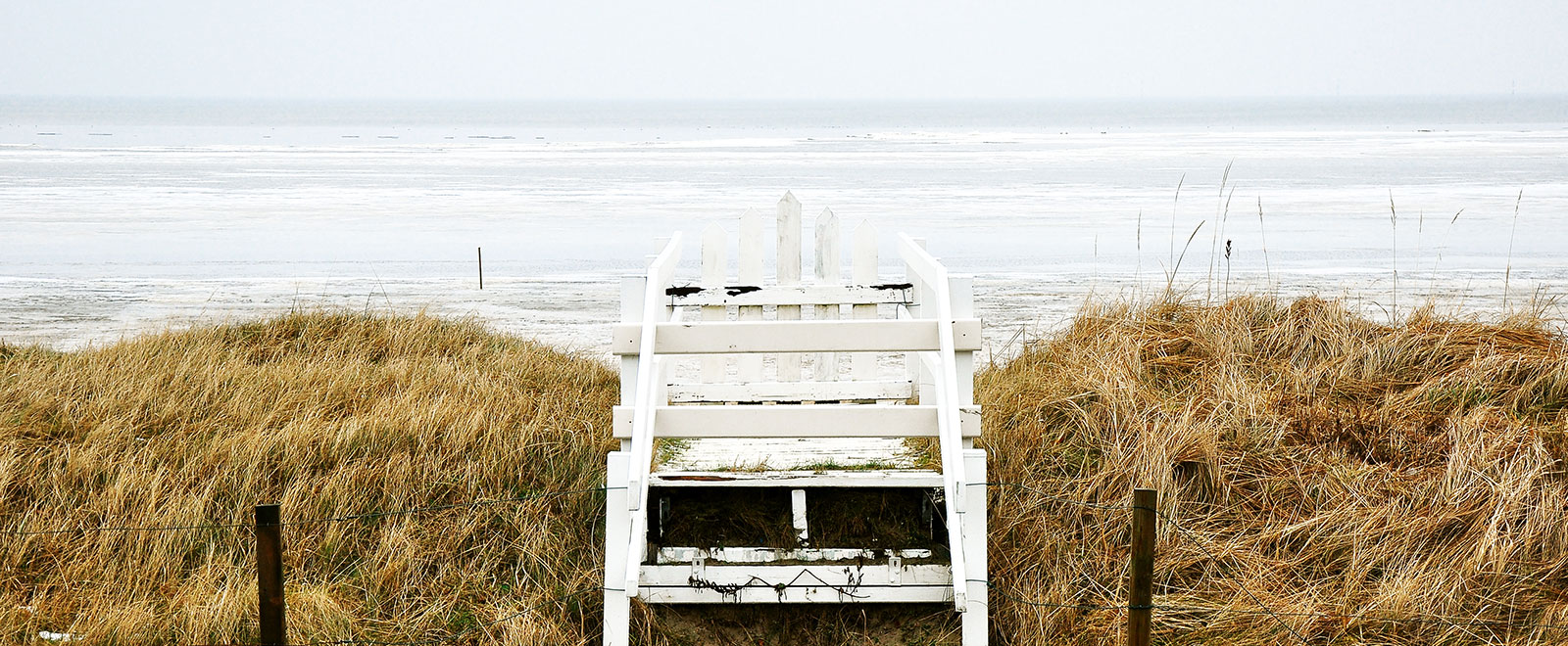 在线办公软件的网站攻击工具