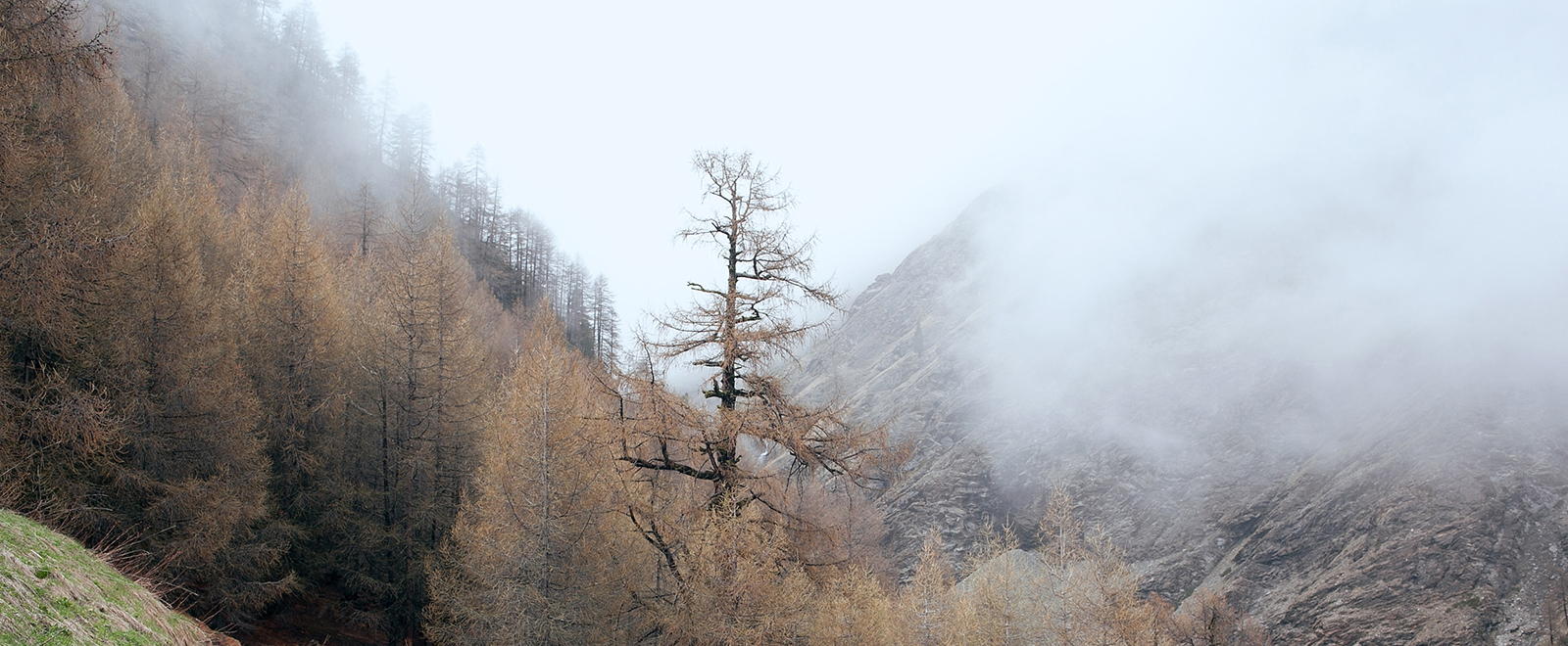 ip攻击器网页版ddos